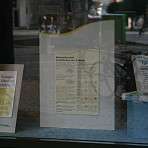 Epilepsien sind Krankheiten des Gehirns