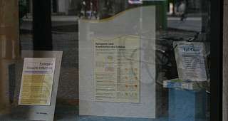 Epilepsien sind Krankheiten des Gehirns