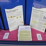 Entstehung und Ursachen