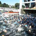 Irgendwo in diesem Getümmel schwimmt Jerome