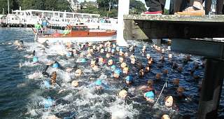 Irgendwo in diesem Getümmel schwimmt Jerome