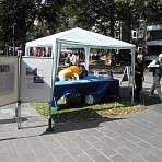 Infostand der InGE