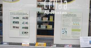 Erscheinungsformen und Behandlung