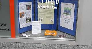 Projekt Epilepsie und Sport