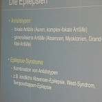 ein kleiner Ausschnitt der Präsentation