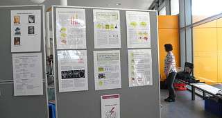 die Infowand die Infowand