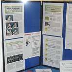 Diagnose und Erste Hilfe