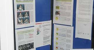 Diagnose und Erste Hilfe