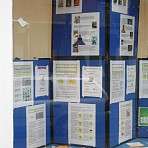 Informationen und Projekte