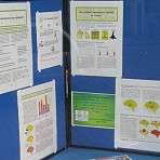 Ursachen und Entstehung von Epilepsien