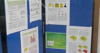 Ursachen und Entstehung von Epilepsien