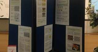 Epilepsien sind häufige Erkrankungen + Kinderwunsch