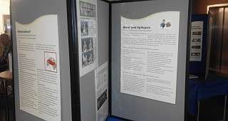 Führerschein + Beruf + Diagnose