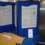 Ursachen + Epilepsien sind Erkrankungen des Gehirns 