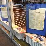 Epilepsien sind Kranheiten des Gehirns