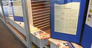 Epilepsien sind Kranheiten des Gehirns Epilepsien sind Kranheiten des Gehirns