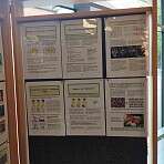 442678099 973543410876783 5526375421196757169 n