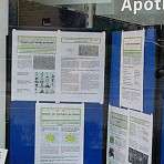 Epilepsien sind Krankheiten des Gehirns