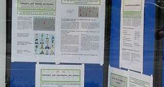 Epilepsien sind Krankheiten des Gehirns