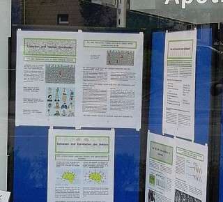 Epilepsien sind Krankheiten des Gehirns