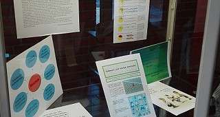 IMG 20180213 145023 v3