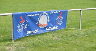 InGE Plane in Schinkel 2017 v2