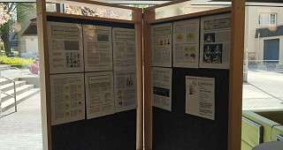 Infowand mit Infos