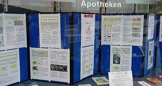 Medikamente verhindern epileptische Anfaelle 