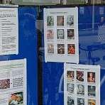 Prominente mit einer Epilepsie